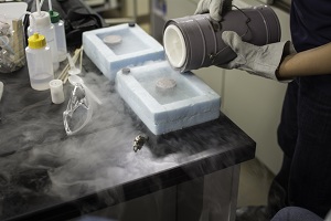 Superconductor Demonstration